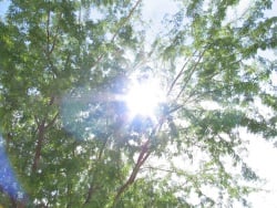 solar-simulation